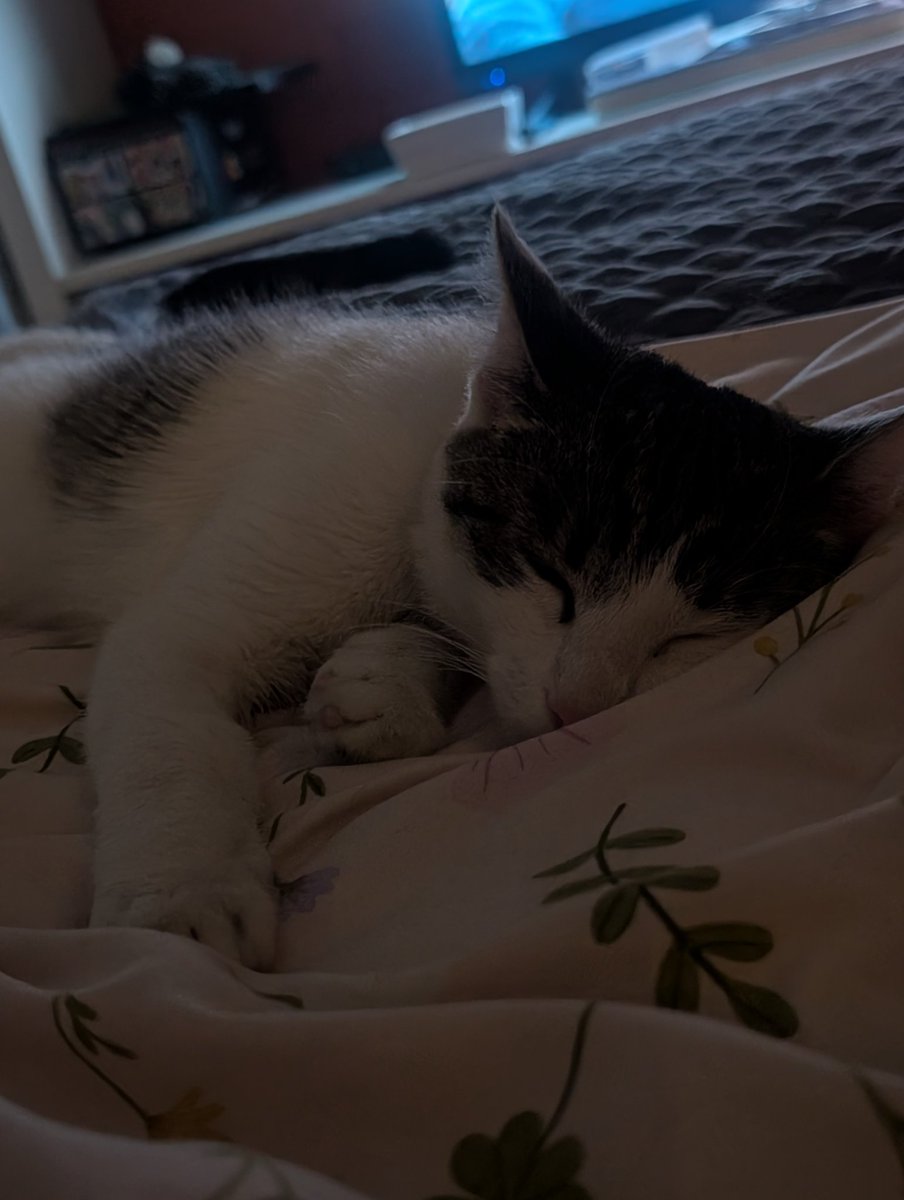 natalia🤍 tweet media