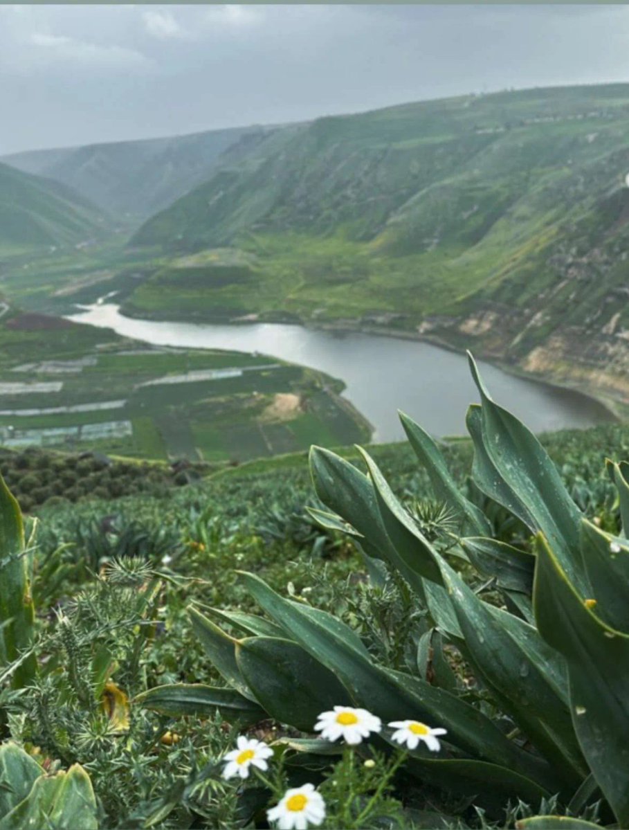 بو حسين 🇶🇦 tweet media