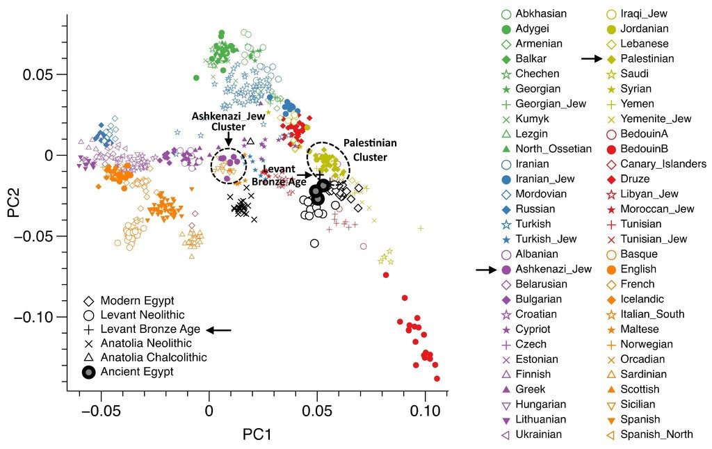WolfehammerKeep tweet media