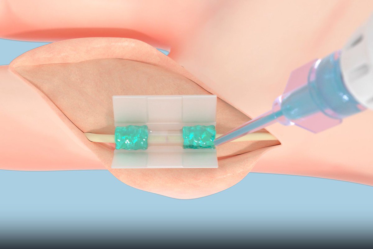 All day Astronomy tweet media