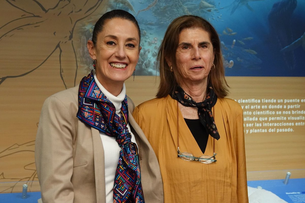 Juan Pablo Alvarez G tweet media