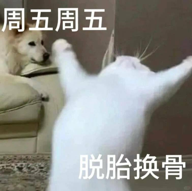 馨老师的日常 tweet media