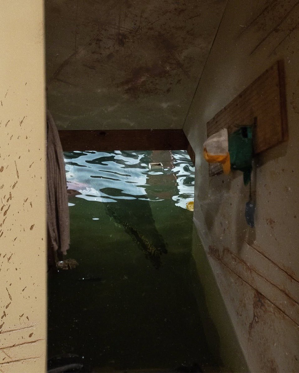 🪸 Cyclopes 🐙 tweet media