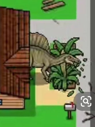 🪸 Cyclopes 🐙 tweet media