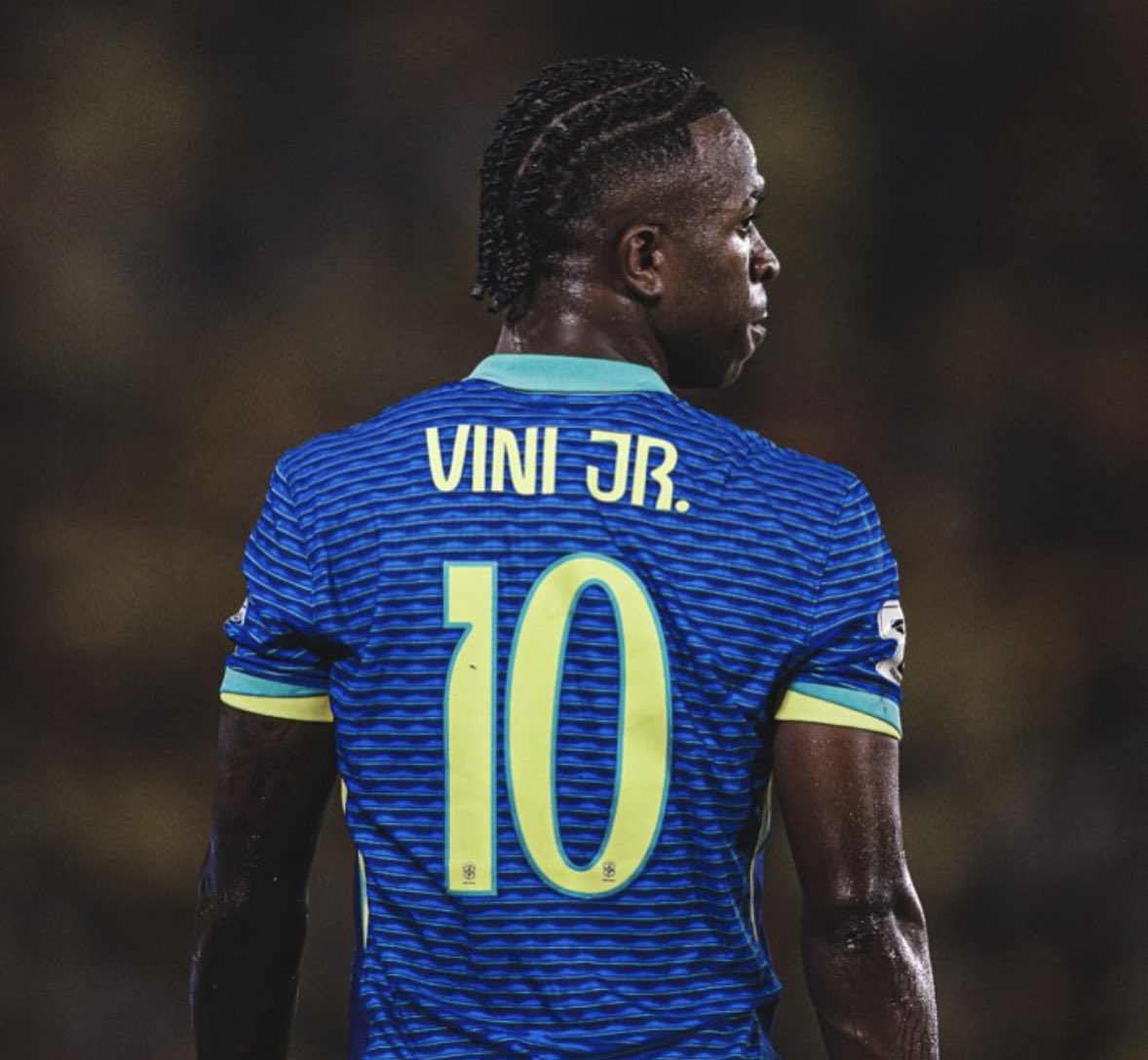 Berneese tweet media