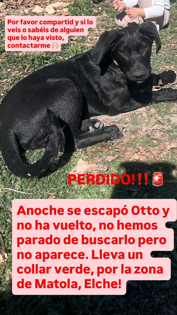 Manoli Penalva Lorca tweet media