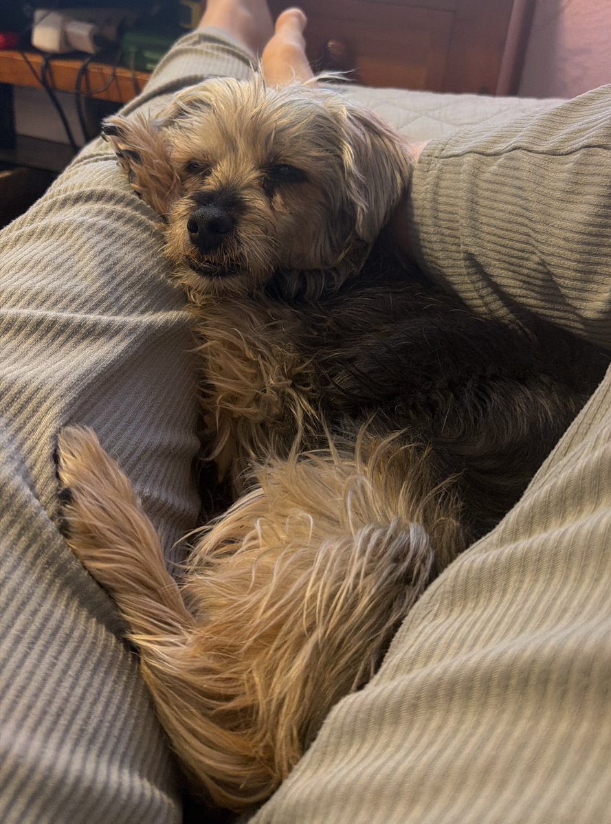 MCarmen🦋 tweet media