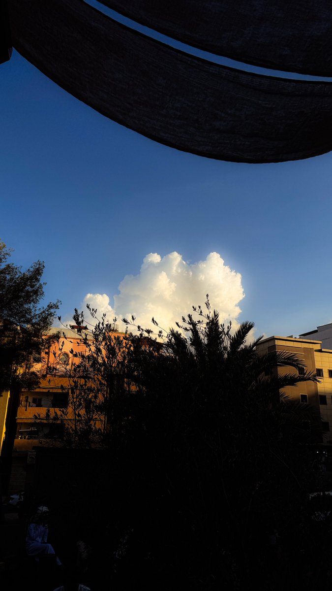 عبدالله آل موسى tweet media