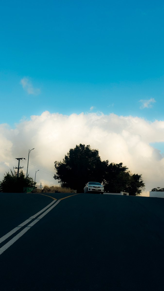 عبدالله آل موسى tweet media