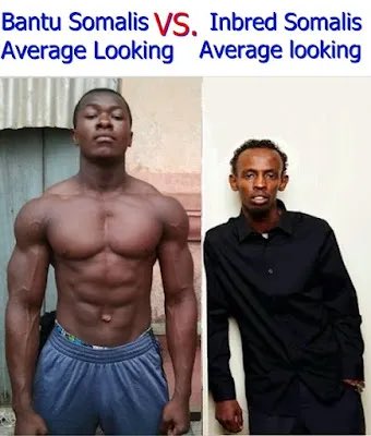 Professor Bantu tweet media