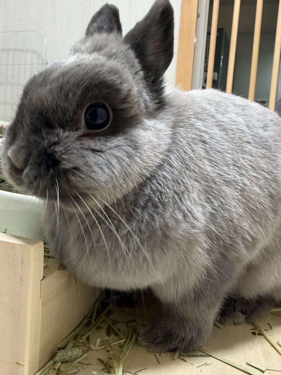 まるちゃん tweet media