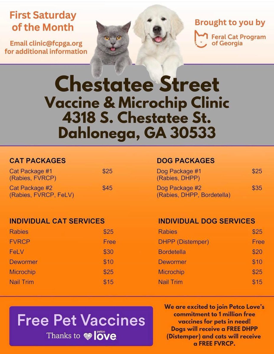 FeralCatProgramGA tweet media