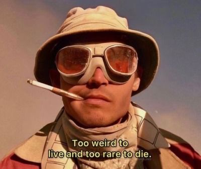 ChampionMindset tweet media