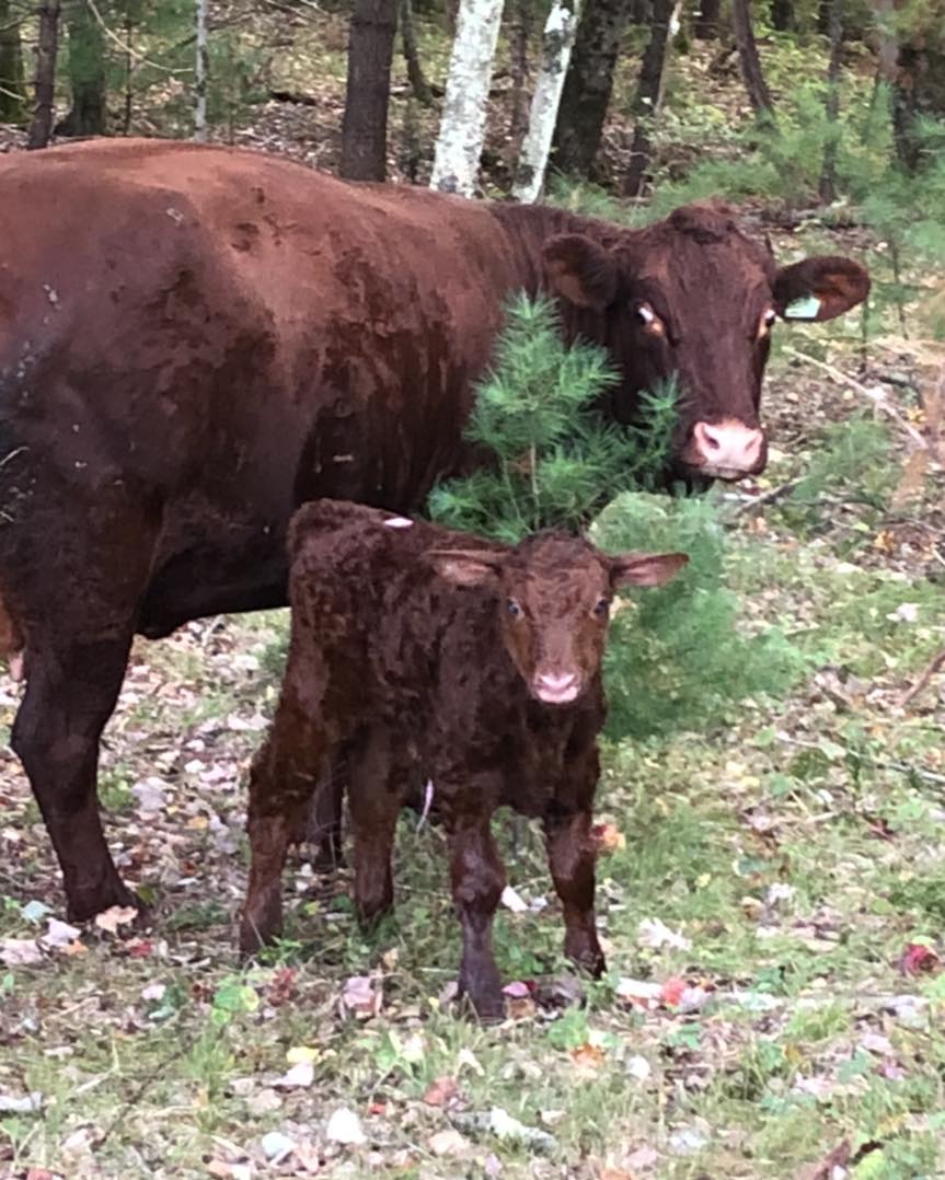 Walker Farm at WH tweet media