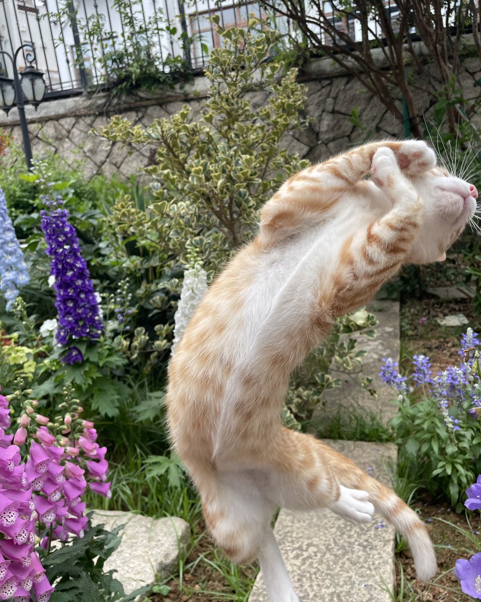 Kathleen tweet media