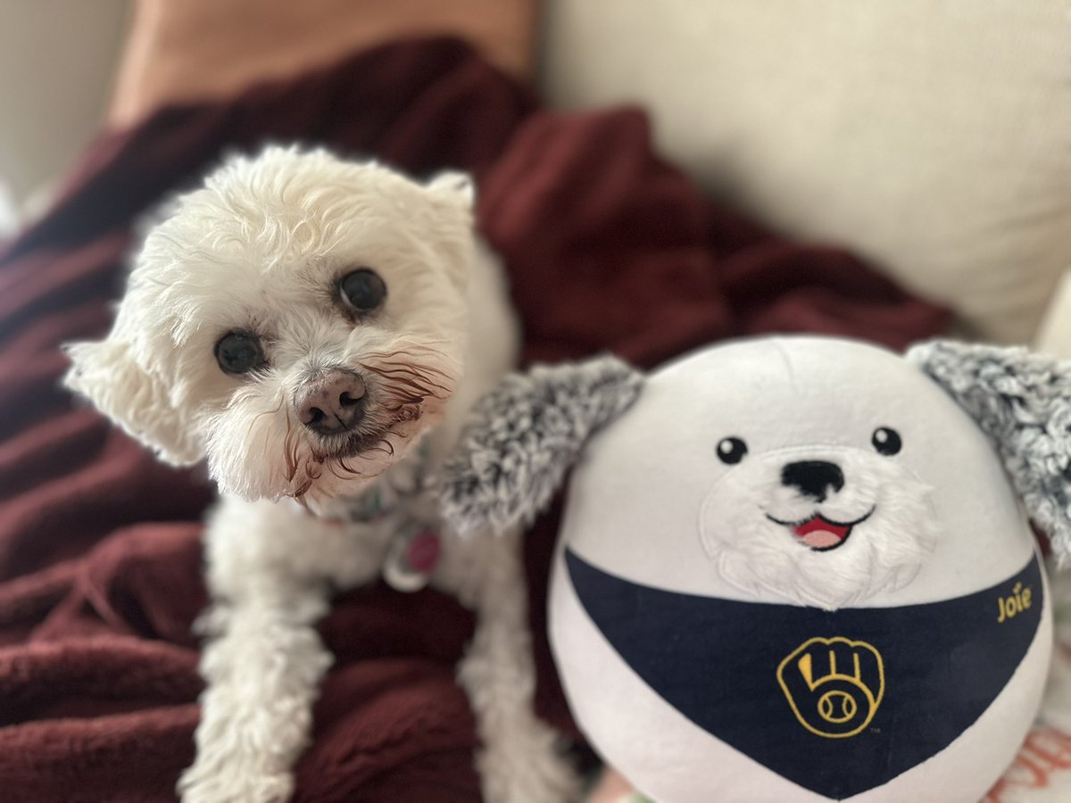 AlexCorradetti's tweet image. ⚾️🐶I think this Hank plushie brought the @Brewers good luck! At least that’s what Peaches tells me!

What a game to start the season! 

Go #Milwaukee Brewers!
