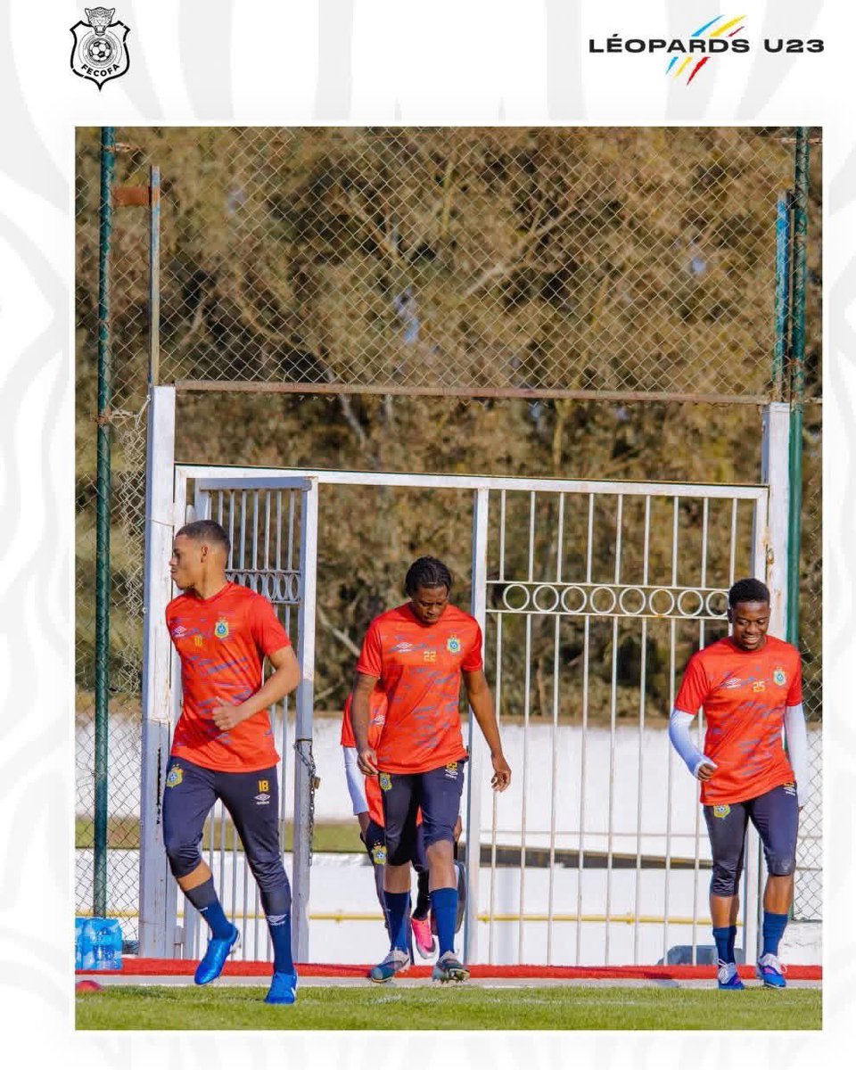 Leopard Leader Foot tweet media