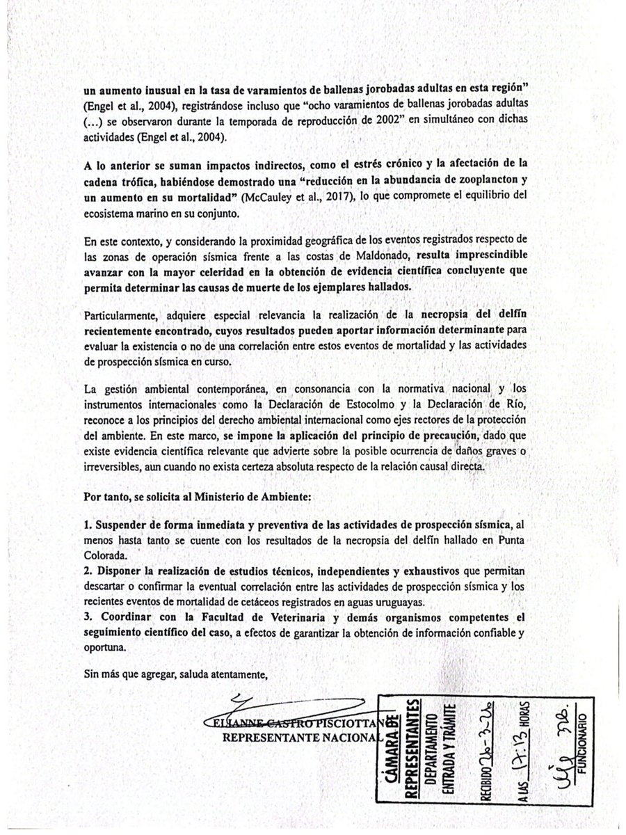 Acabo de presentar una exposición escrita EXIGIENDO la SUSPENSIÓN INMEDIATA de las prospecciones sísmicas.

Una ballena muerta. Un delfín muerto. Mismo mar, mismo momento. La evidencia científica es contundente.

Ortuño no puede mirar para otro lado. Se debe aplicar el PRINCIPIO