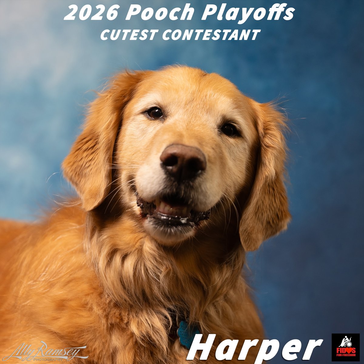 Fidos For Freedom tweet media