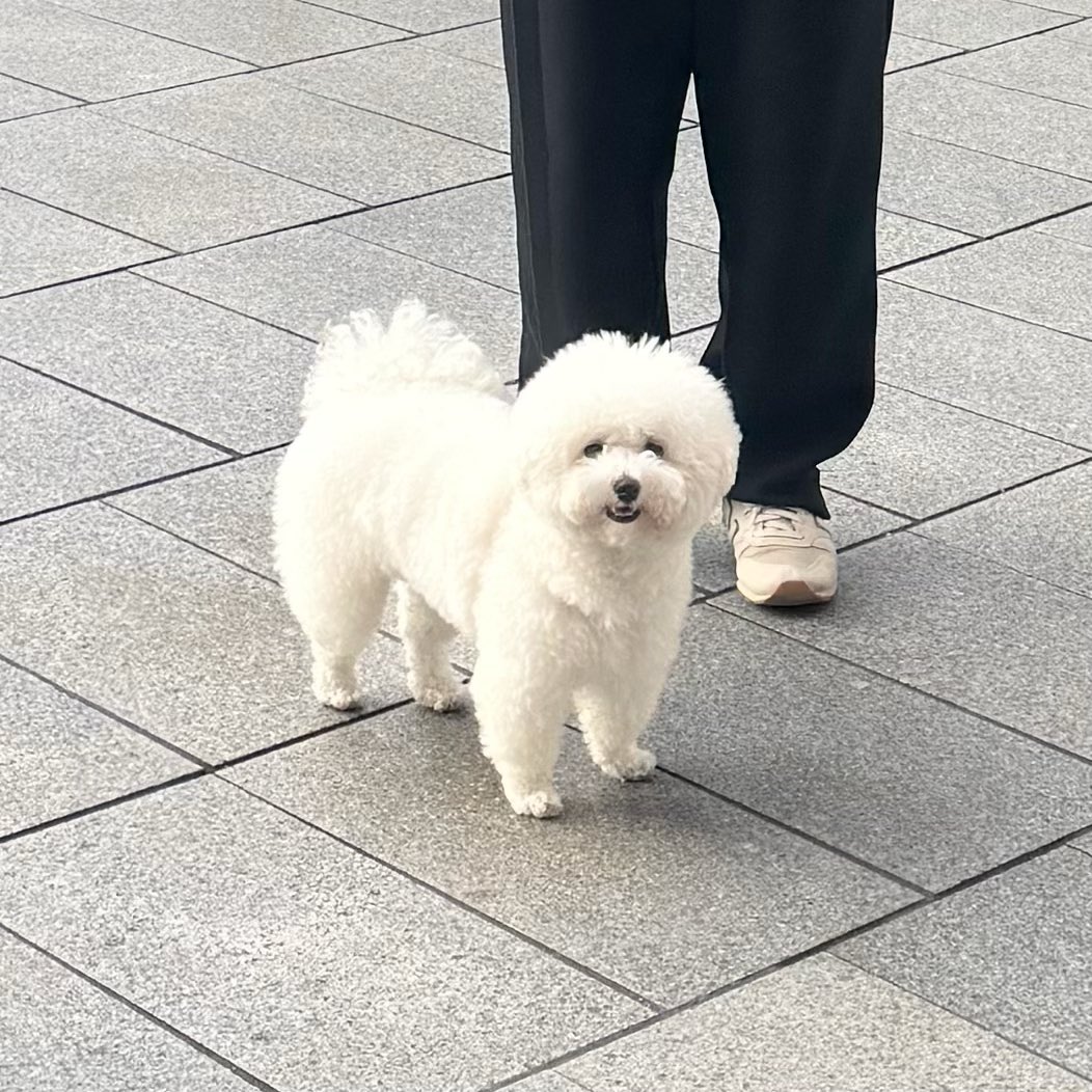 つくね tweet media