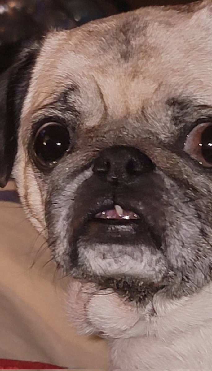 💗ANGELSARAH💗 S&O🍊 tweet media