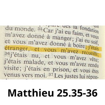 Alex Deval 🌻🏳️⚧️ 🏳️🌈 tweet media