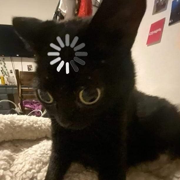 Yas ❄️ tweet media