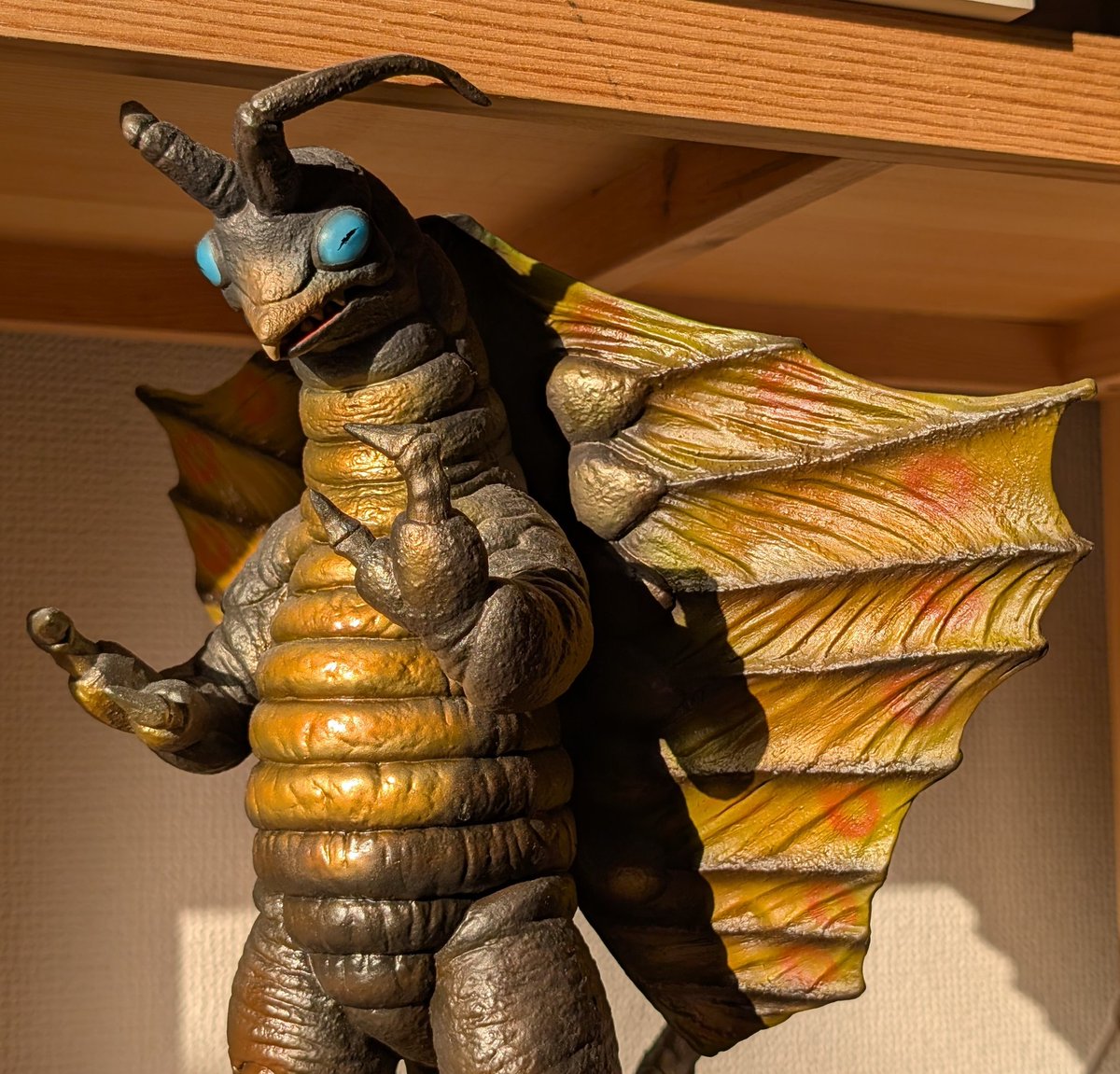 岩本信之助 tweet media