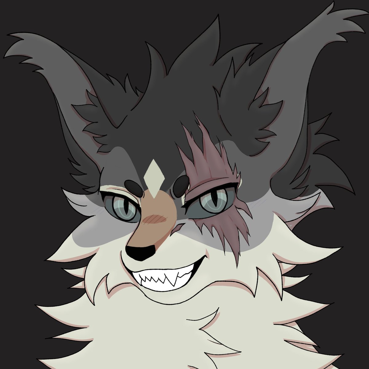 Marquarida tweet media