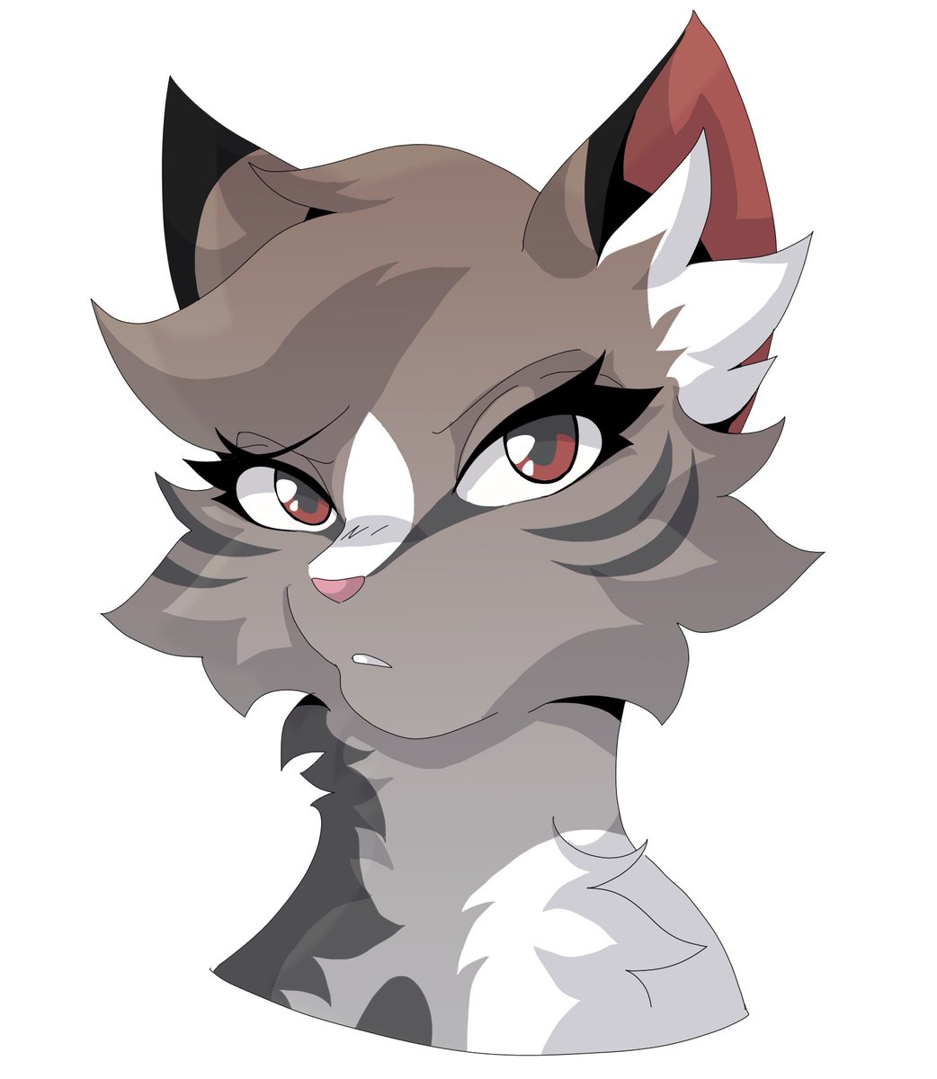 Marquarida tweet media