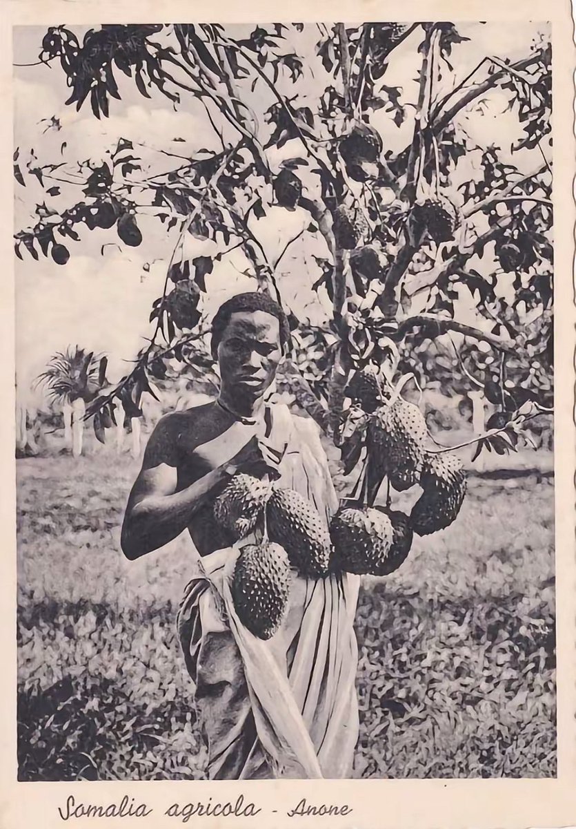 Professor Bantu tweet media