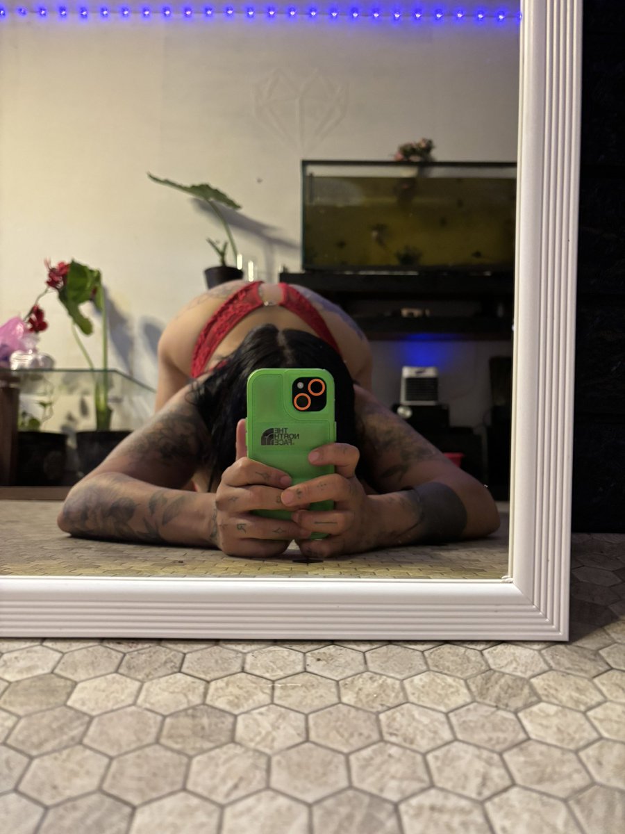 Quin Olve tweet media