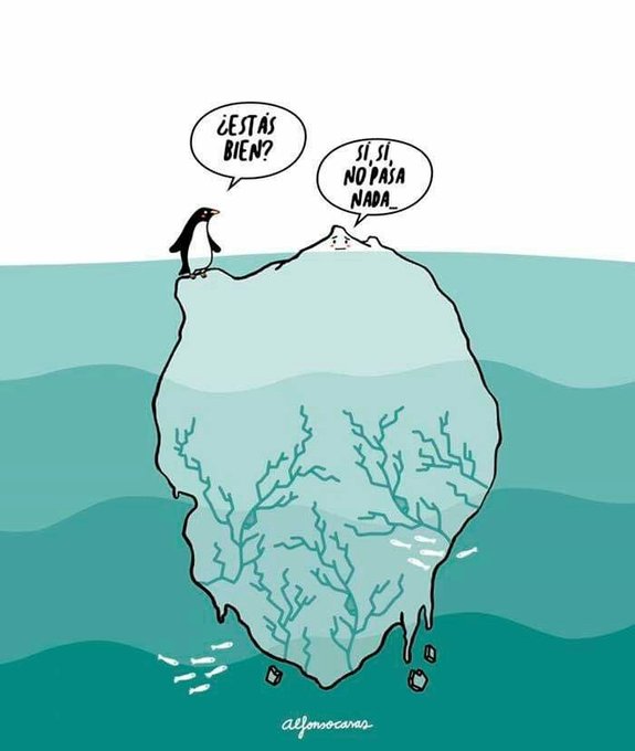 Ernesto Gutierrez tweet media