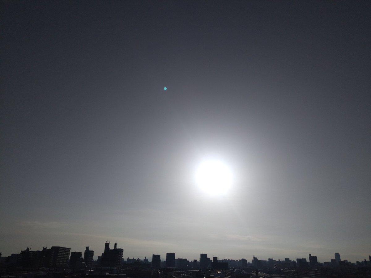 エロティックな7分間 tweet media