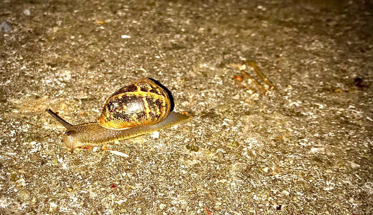 Tina Clarke tweet media