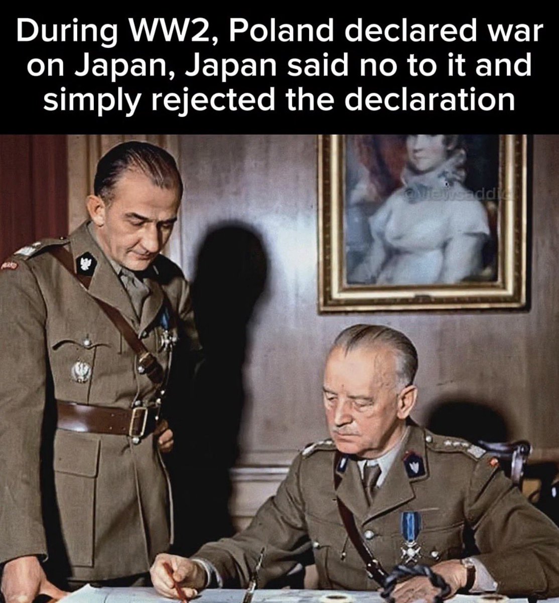 Rothmus 🏴 tweet media