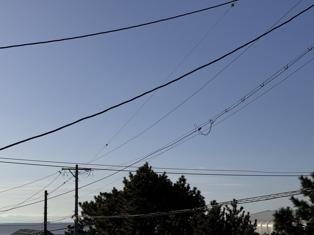 grass(ぐらす)緊急垢@只今本垢サブ垢凍結中 tweet media