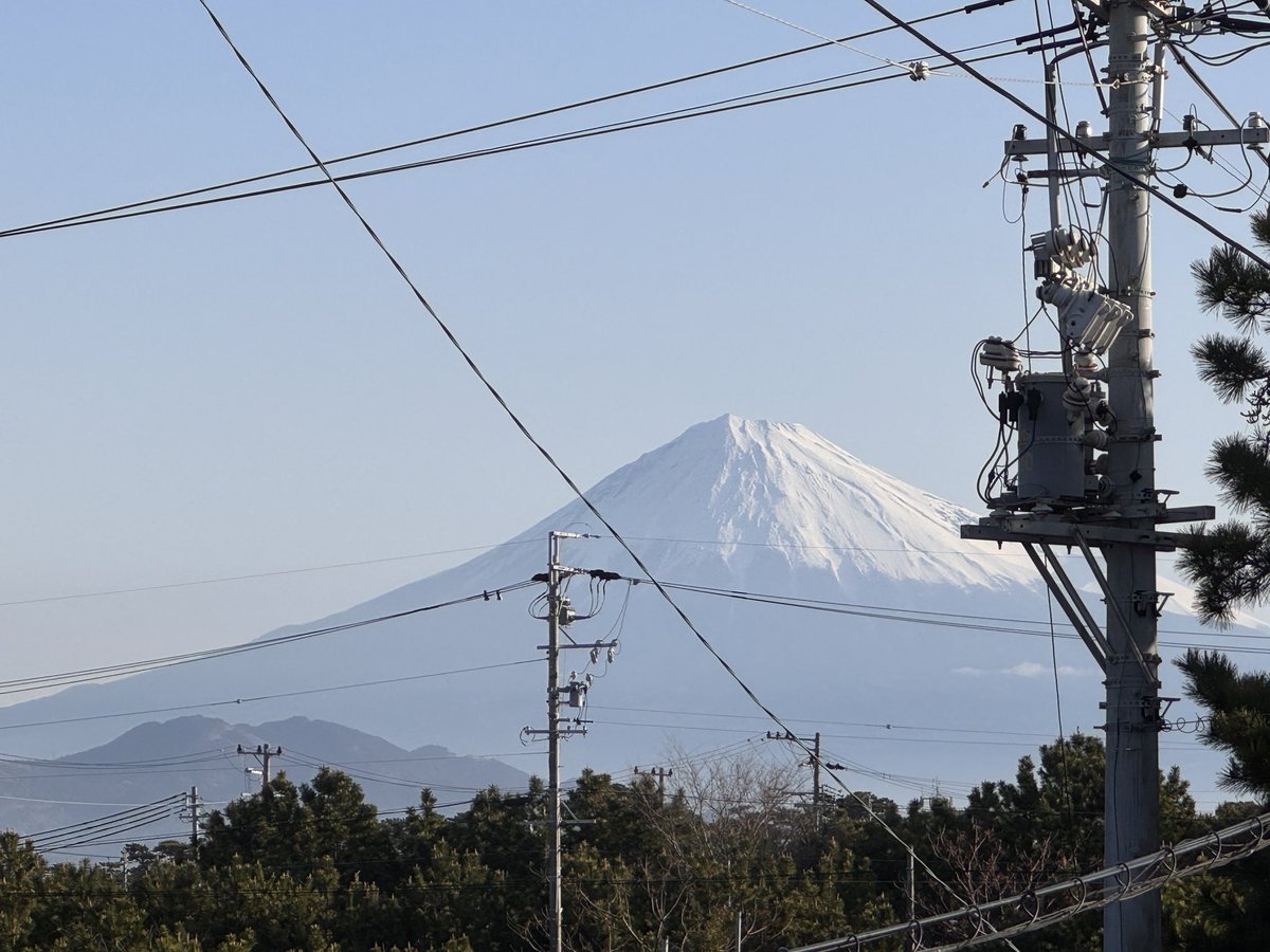 grass(ぐらす)緊急垢@只今本垢サブ垢凍結中 tweet media