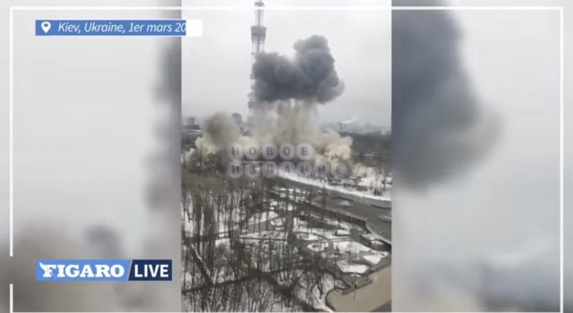 Marianna Perebenesiuk tweet media