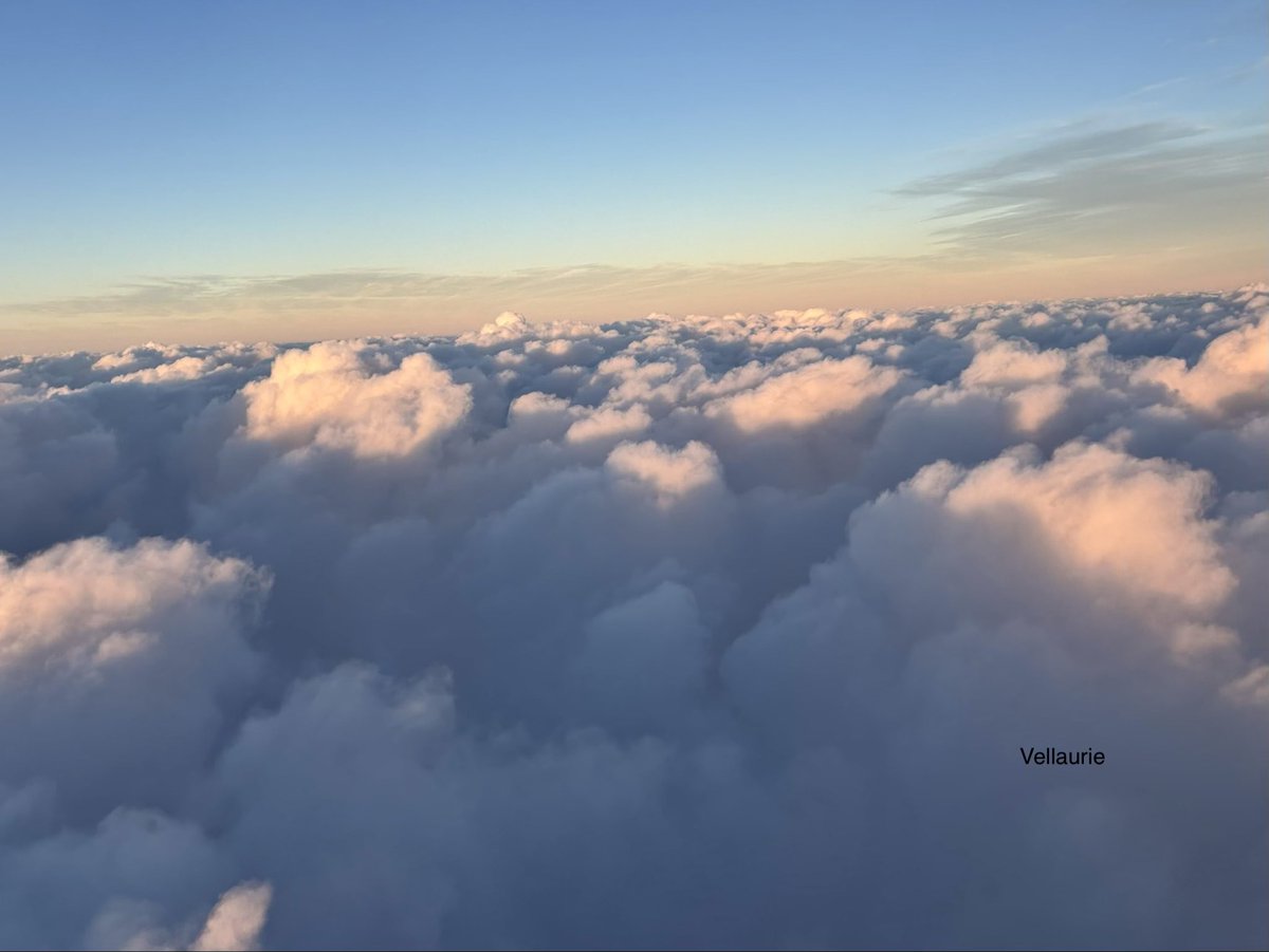 Vijay Ellaurie tweet media