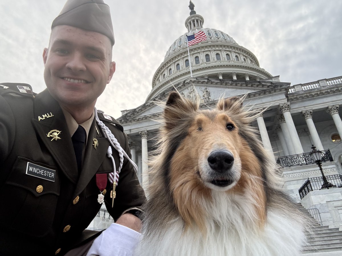 Reveille X tweet media