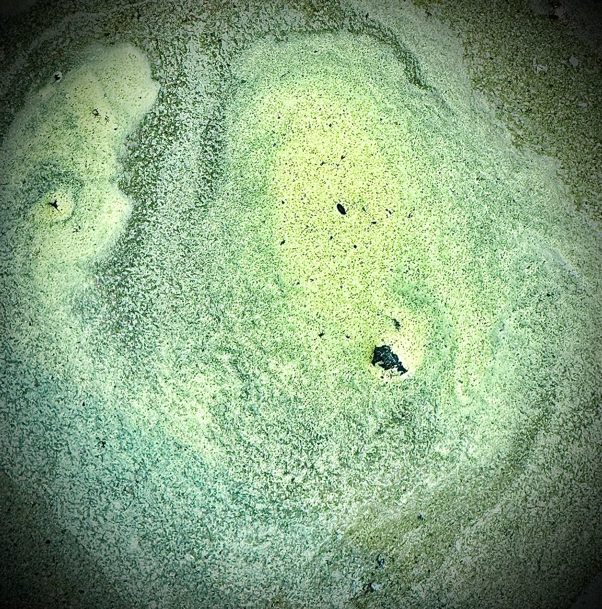 Killing Floor 3 tweet media