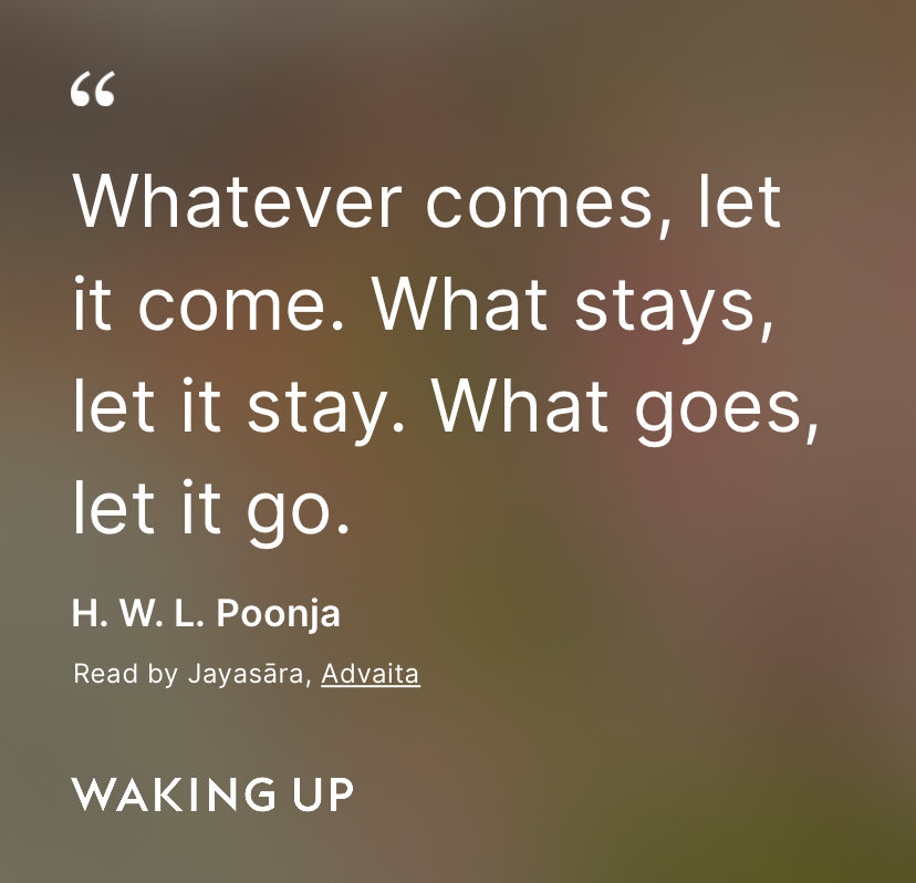 Matt Peale tweet media