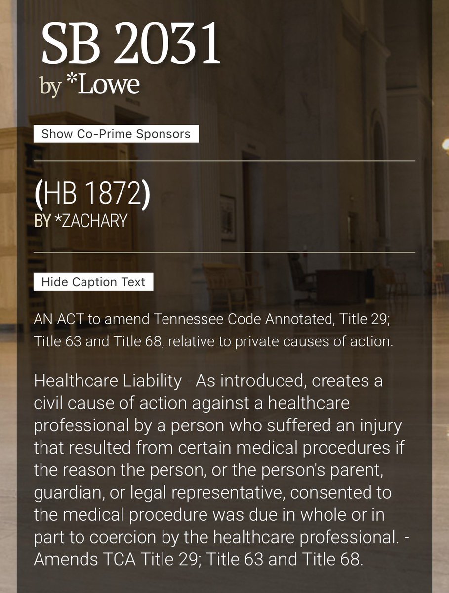 Libs of TikTok tweet media