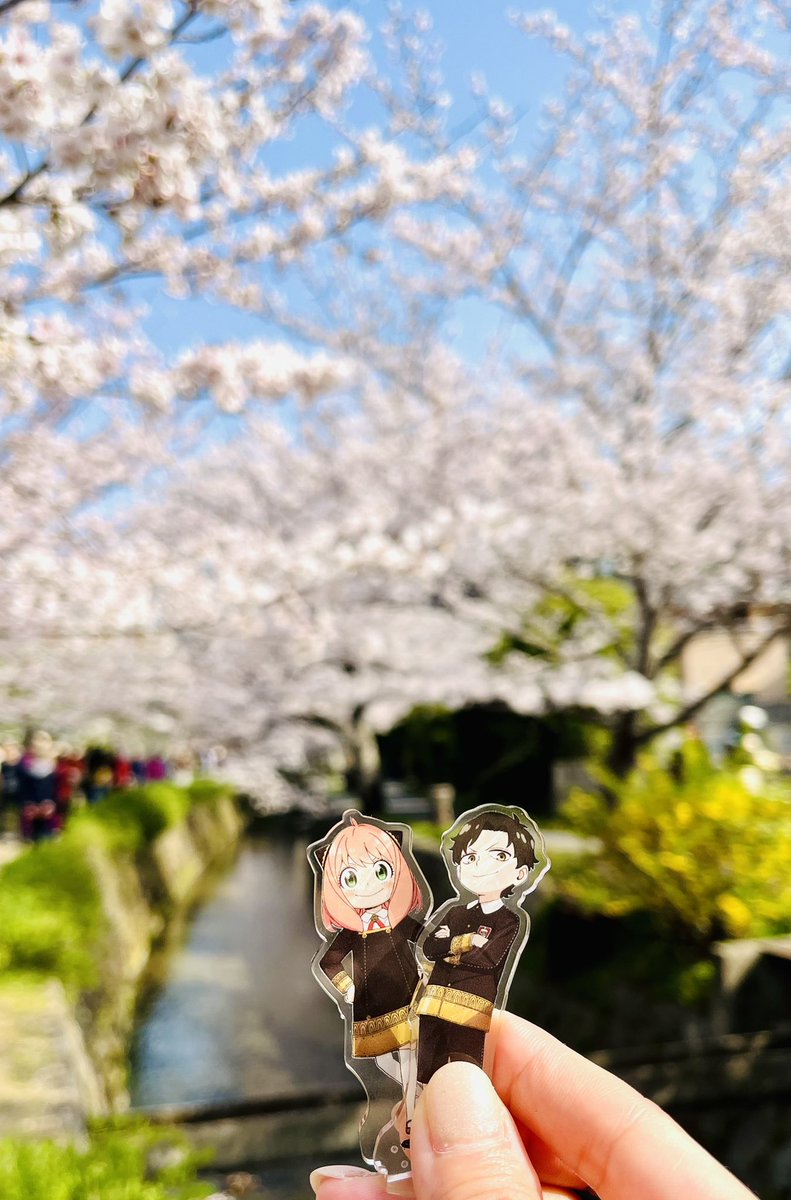 スパイファミリー(SPY×FAMILY)グッズ情報 tweet media