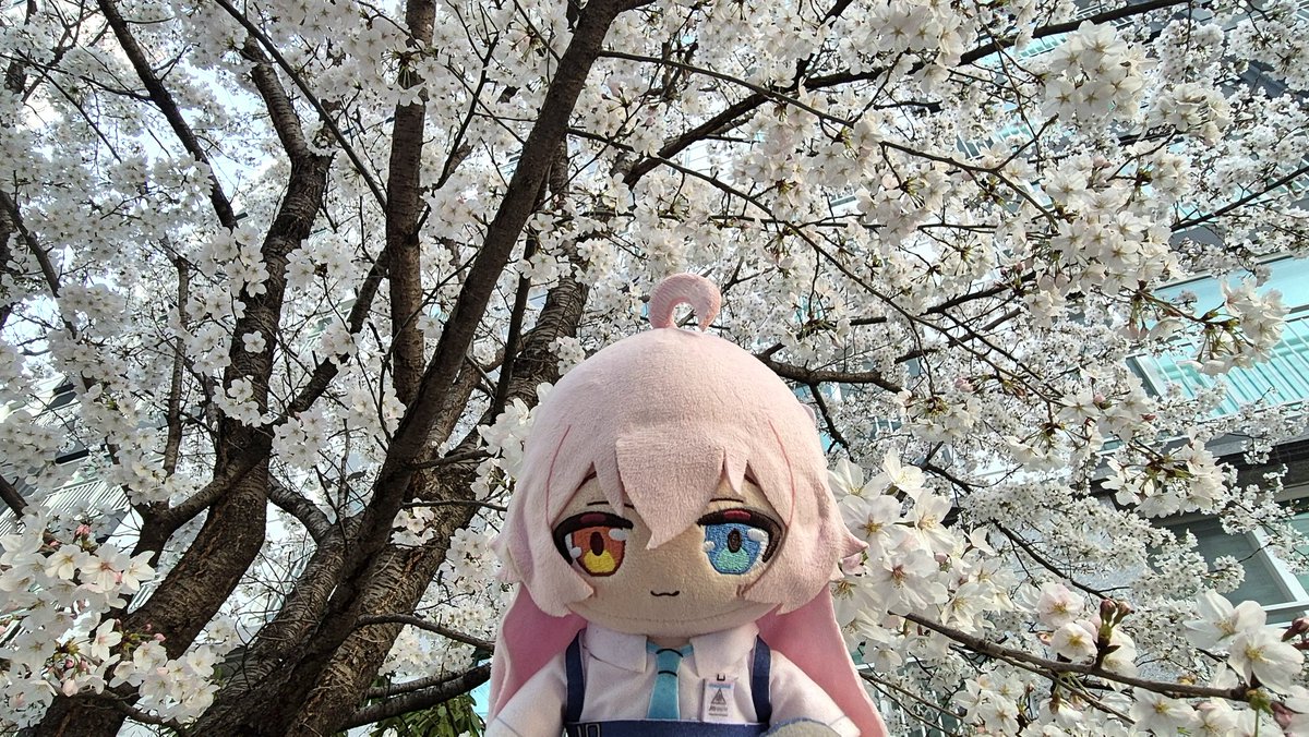 라라사(ララサ) tweet media