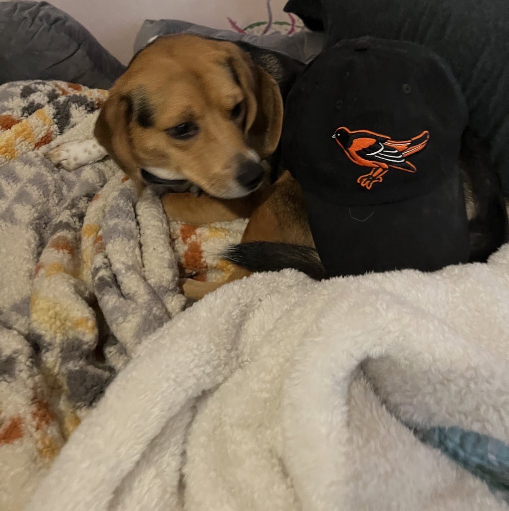 Corey Sznajder tweet media