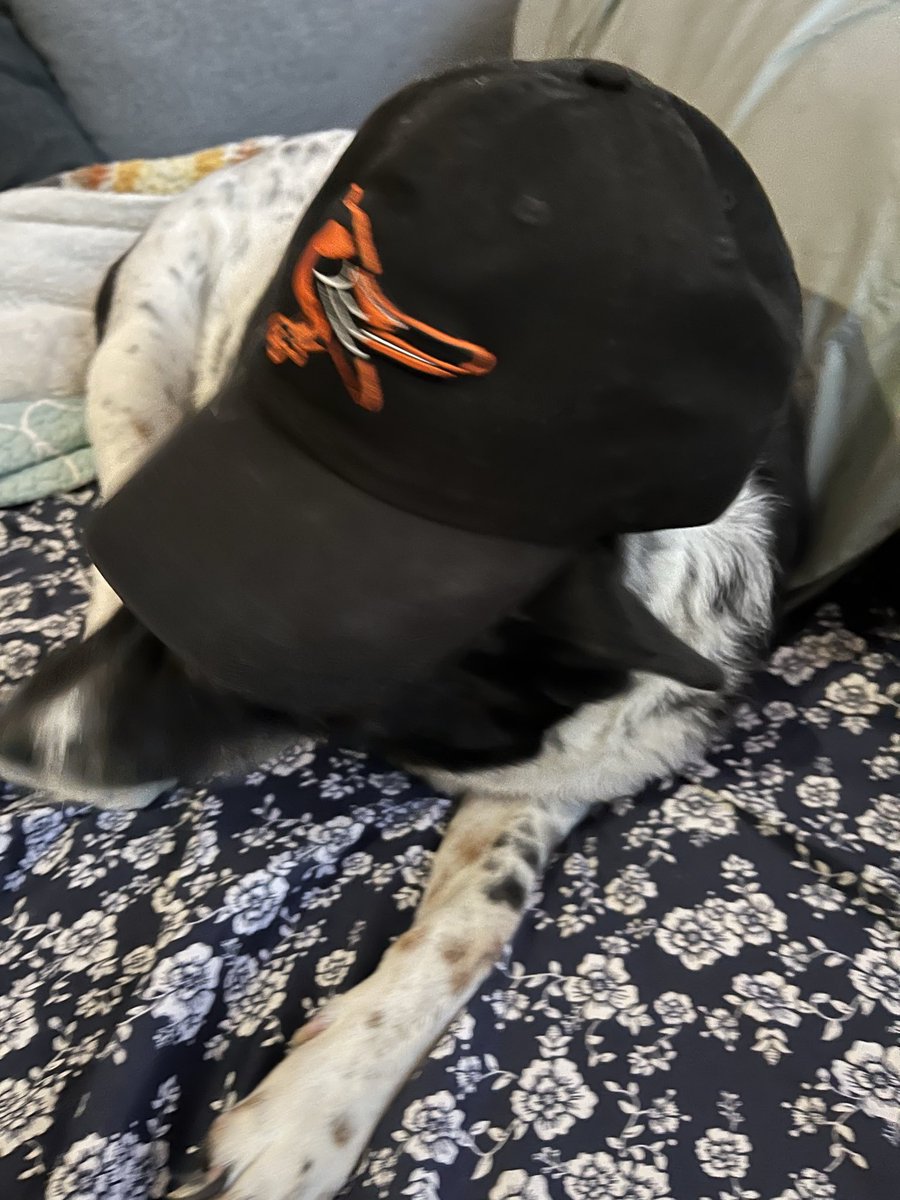 Corey Sznajder tweet media