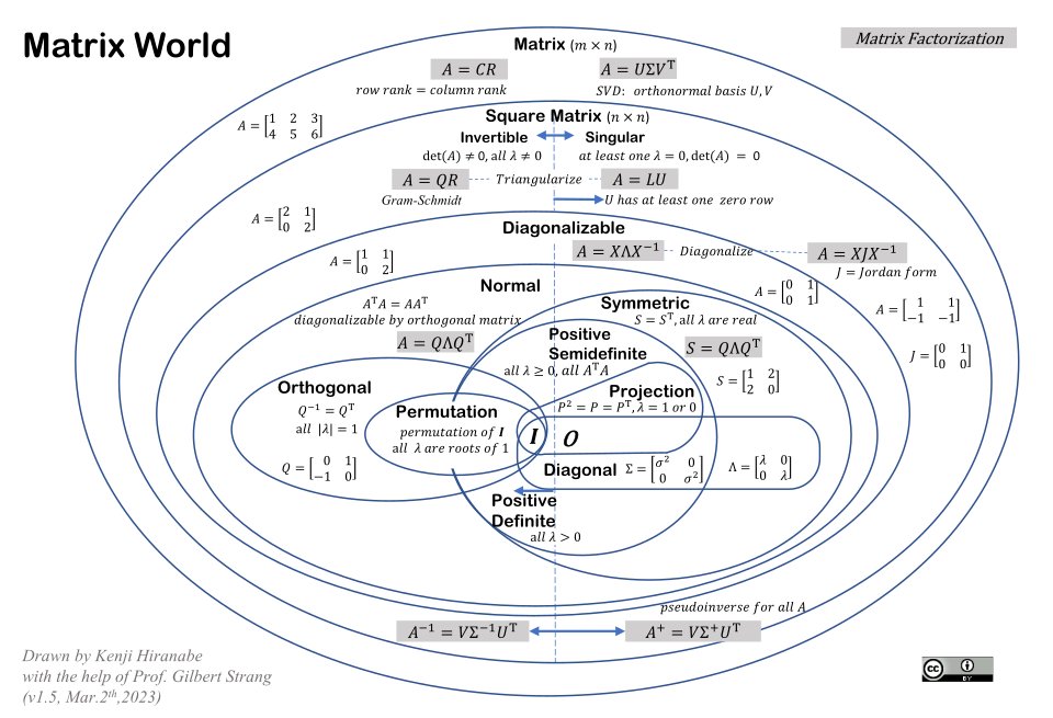 little grey mouse 🐭 tweet media