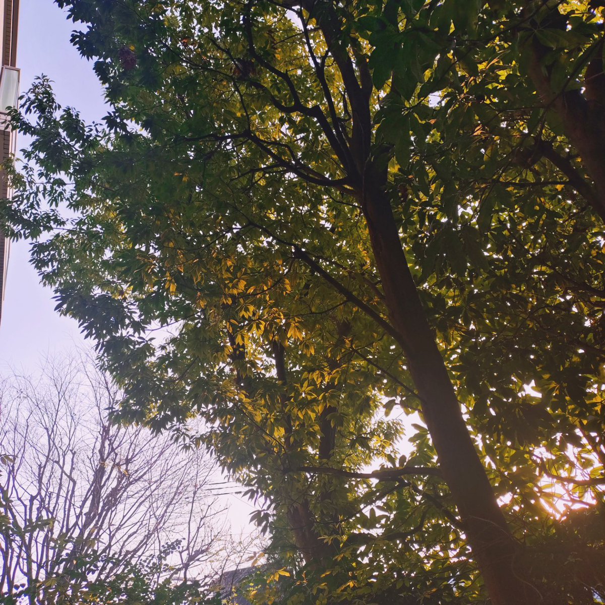 光安 淳 みつやす じゅん tweet media